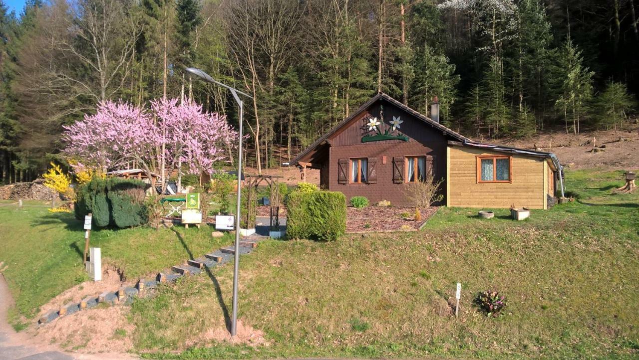 Gite Bien-Etre Walscheid Exterior photo